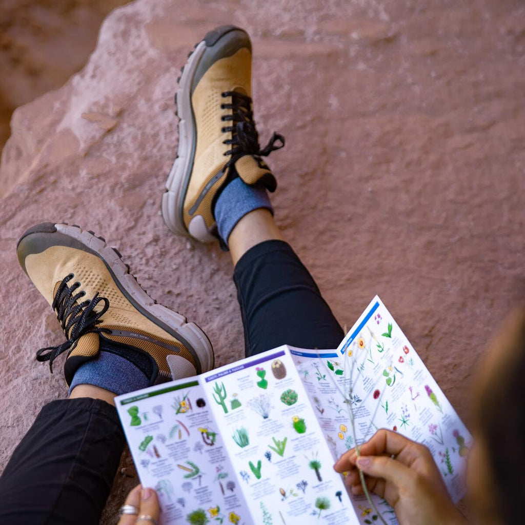 Women's Trail 2650 3" Prairie Sand/Gray GTX