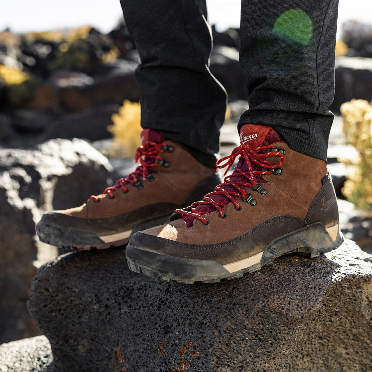 Men's Panorama Mid 6" Pinecone Brown/Bossa Nova
