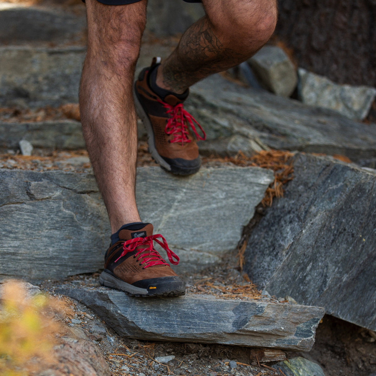Men's Trail 2650 3" Brown/Red